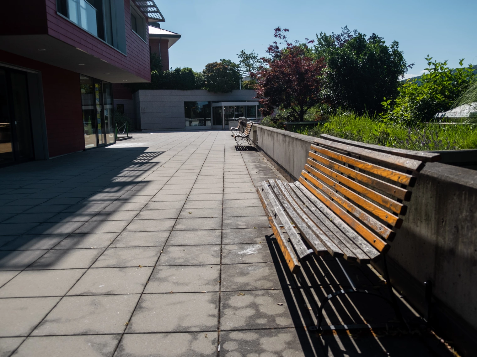 Terrasse avec un banc