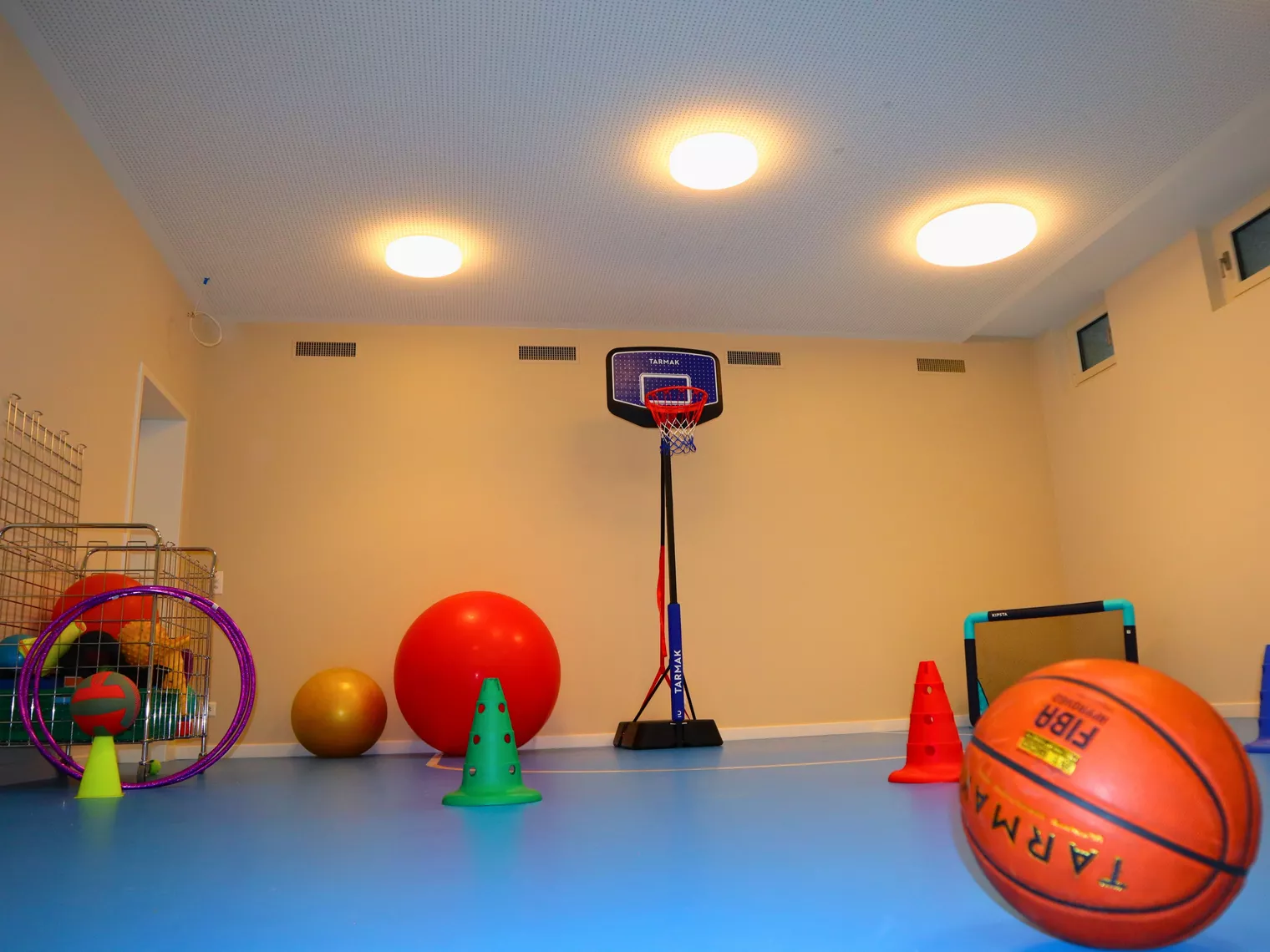 Une salle de sport avec un panier de basket et des ballons